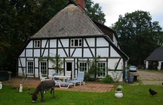Witthof Hotel Gifhorn Exterior photo